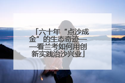 六十年“点沙成金”的生态奇迹——看兰考如何用创新实践治沙兴业